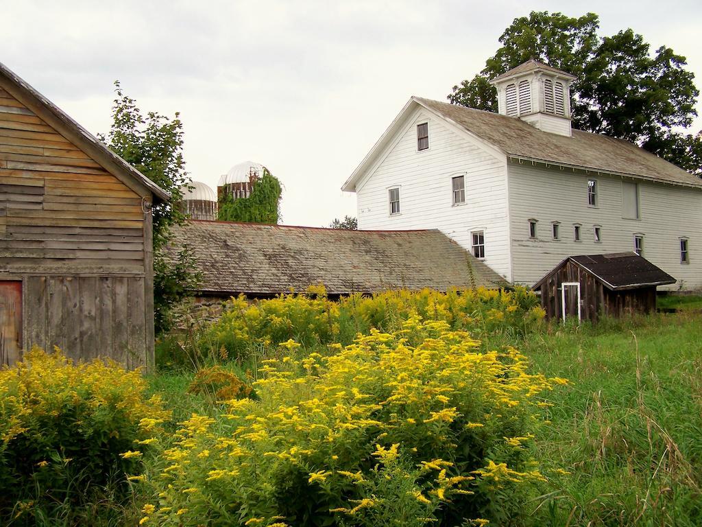 Saratoga Farmstead B&B Saratoga Springs Kültér fotó