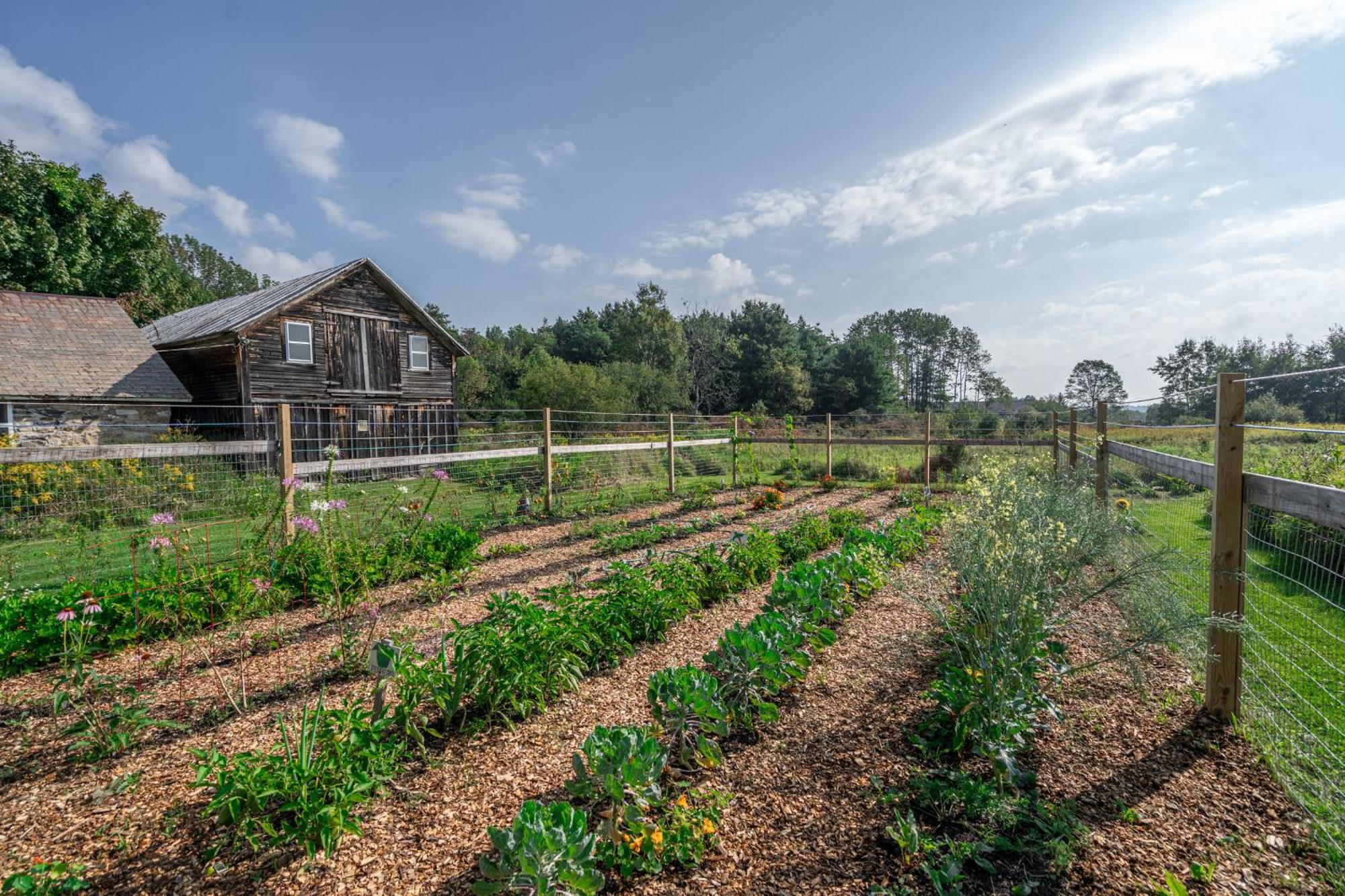 Saratoga Farmstead B&B Saratoga Springs Kültér fotó